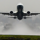 Illustration for article titled Boeing 737 Max Jets in the United States Have Been Grounded
